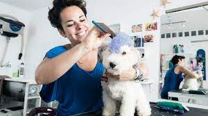 We did not find results for: 18 Pet Business Ideas For Animal Lovers