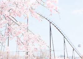 Pisces Moon Tumblr Pastel Pink Aesthetic Pastel Aesthetic Aesthetic Japan