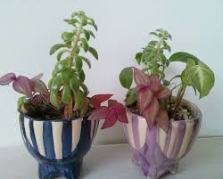 Tu vuelo al fin" diseños y decoracion (Vanesa Bianchi)