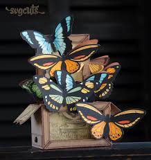 Butterflies Box Card 2 99 Svg Files For Cricut Silhouette Sizzix And Sure Cuts A Lot Svgcuts Com