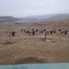 Nevsehir Kopek Barinagi Sulusaray Nevsehir Merkez Da Fotograflar