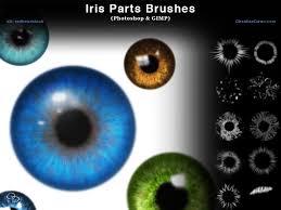 Iris Parts Eyes Photoshop And Gimp Brushes Gimp Brushes Graphic Design Photoshop Photoshop Eyes