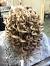 Tight Spiral Piggyback Perms