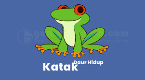 Amatilah peta pada pembelajaran sebelumnya. Kunci Jawaban Tema 1 Kelas 3 Sd Halaman 132 135 Subtema 3 Pembelajaran 5