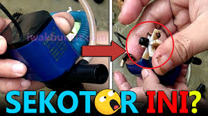 Cara membersihkan filter biologis dengan merendam dan membilas menggunakan air yang diambil dari akuarium. Panduan Lengkap Cara Membersihkan Pompa Celup Aquarium Ikan Mas Koki Khusus Pemula