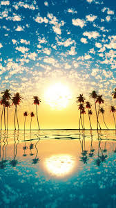 Wallpapers in ultra hd 4k 3840x2160, 8k 7680x4320 and 1920x1080 high definition resolutions. Sunset Palm Tree Cloud Sky Reflection 4k Ultra Hd Mobile Wallpaper Best Nature Wallpapers Scenery Wallpaper Iphone Wallpaper Sky