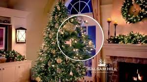 Inspired by the majestic evergreens found in colorado's rocky mountains, our classic blue spruce has been a customer favorite for years. Balsam Hill Christmas In July Sale Tv Spot Ispot Tv