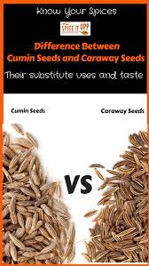Difference Entre Les Graines De Carvi Et Les Graines De Cumin Graine De Carvi Cuisine Graine