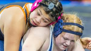 Five Livingston County wrestlers reach state championship matches