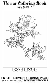 Free printable insect coloring pages your little ones will love to color ; Flower Coloring Pages For Adults This Pin Is In Hi Resolution That Can Be Printed For You To Colo Fairy Coloring Pages Detailed Coloring Pages Fairy Coloring