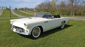Image result for Snowshoe White 1955 Thunderbird