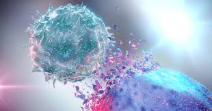 2021 for the cancer natives, that is, people of kataka rasi, should overall be a good year, especially from your career point of view, of course, with some struggles. Immunotherapy For Cancer How It Works Who S A Candidate And Where To Get It Ctca