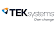 TEKsystems Global Services in India logo