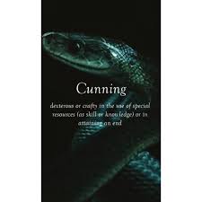 Define Cunning Slytherin Aesthetic Slytherin Slytherin Harry Potter