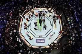 The Noble Art Of Cage Fighting: Stipe Miocic Vs. Daniel Cormier | The New  Yorker