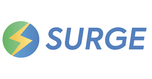 نتیجه جستجوی لغت [surge] در گوگل