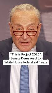 Senate Minority Leader Chuck Schumer denounces President Trump's freezing  of all federal aid. “Plain and simple, this is Project 2025.” #trump  #politics #news #government #democrats