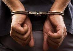 Manda sua foto pra gente com a #eunoholanda pra saber do mundo dos famosos @holandafamosos www.portaldoholanda.com.br. 140 Ideias De Policia Policia Portal Do Holanda Manaus