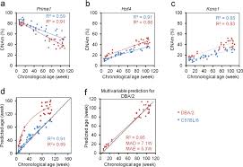 Helmholtz institute of biomedical engineering. Epigenetic Age Predictor For Mice Based On Three Cpg Sites Elife