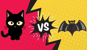 I am an animal lover, so the only things i willfully want my cats to hunt are spiders and bugs that get in the house (to varying success). Do Cats Eat Bats 9 Facts You Don T Know Animalfate