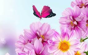 Flowers wallpapers hd sort wallpapers by: Free 20 Flower Backgrounds In Psd Ai Vector Eps