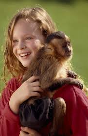 14 Monkey Trouble Ideas Thora Birch Favorite Movies Monkey Mimi rogers, thora birch, christopher mcdonald and others. 14 monkey trouble ideas thora birch