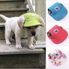 Best Pics Dog Collars Unique Suggestions Pets Pet Dogs Cute Animals
