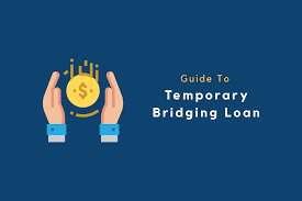 Temporary Bridging Loan Programme How It Works And What Are The Criteria For Businesses To Apply For It
