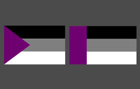 (of humans) sexually attracted to people only after a strong emotional bond has been formed. So I Decided To Redesign The Demisexual Flag Demisexuality