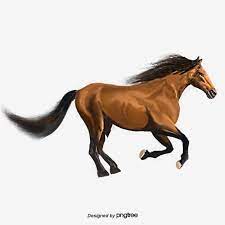 عناصر ركوب الخيل والركض مرسومة باليد حصان مرسومة باليد توضيح png وملف psd للتحميل مجانا horses horse riding riding