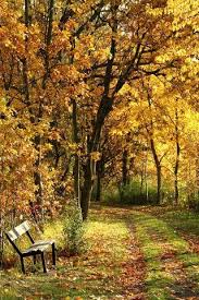 Seems selfish to keep it to myself. Pin By Miss Lily Bliss On Falling In Love Autumn Scenery Natural Background Nature