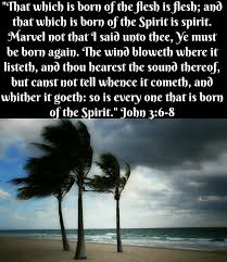 Pin On Bible Inspirational