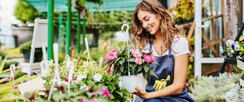 See more ideas about white mums, fall outdoor, fall decor. Lowes Vs Home Depot For Plants And Gardening Cheapism Com