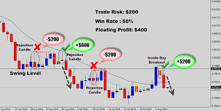 Forex Risk Management How Much Should You Be Risking