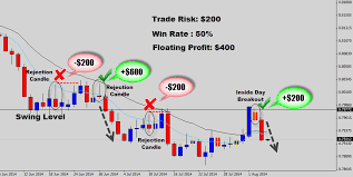 forex risk management how much should you be risking