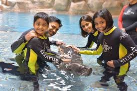 Ram Kapoor S Fun Vacation With Family In Dubai Indiatoday Being so busy in reel life, ram doesn't get a lot of time to spend with his two adorable kids sia(10) and aks(7). vacation with family in dubai indiatoday