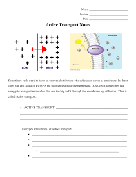 Biology Diffusion And Osmosis Worksheet Answer Key Betterlesson Biology Lessons Teaching Biology Science Lessons