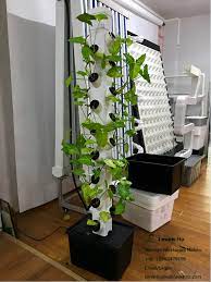 The system maximizes the number of possible grow spaces per level arranged in a given 3d room by increasing the diameter from a 'tower. Good Quality A Type Vertical Nft Hydroponic System For Greenhouse Lettuce Buy Vertical Hydroponic System A Type Hyd Aquaponics Hydroponics Hydroponics System