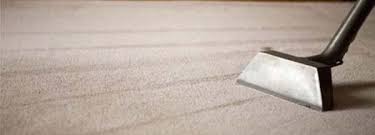 How much do carpet cleaners cost? How Much Does Carpet Cleaning Cost Twinkle Clean