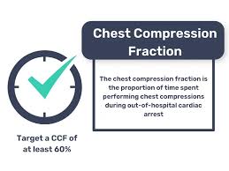 Chest Compressions: How Cpr Actually Works