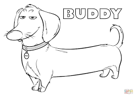 Pet Coloring Pages Preschool Pet Coloring Pages Free Printable Buddy From The Secret Entitlementtrap Com Dog Coloring Book Dog Coloring Page Secret Life Of Pets