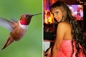 Ihre vorgängerin war bahati kolibri venus. Richard Lugner Mortels Mega Tiershow Gala De