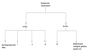 Also, is it possible to offset the error bars so that they are not directly on top of each other? Select The Option That Correctly Identifies I Ii Iii Class 12 Biology Cbse