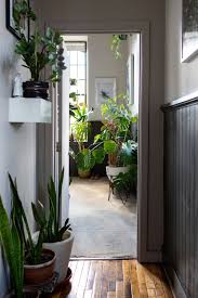 The Plant Doctor S Baltimore Home And Studio Are Absolutely Filled With Gorgeous Green Plants Plants Hanging Plant Wall Indoor Garden