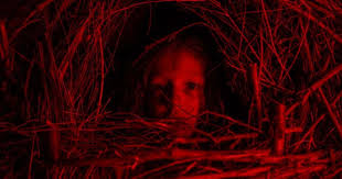 Jun 14, 2021 · un véritable drame s'est joué ce dimanche matin en italie. Netflix A Classic Horror Story Release Date How To Watch And Trailer Of The Horror Film Meaww