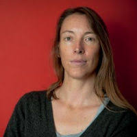 The Liverpool View: Did we discover a Higgs?