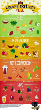 Table Foods For Dogs Can Dogs Eat Dog Food Recipes Dog Eating