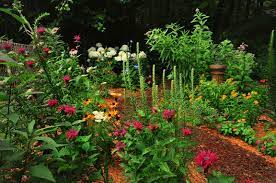 Pin On Perennial Garden