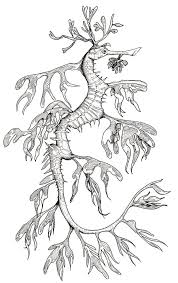Or, right now, you can color online on our site with the interactive coloring machine. Pin On Animals