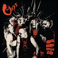 Image result for Oxyrhachis